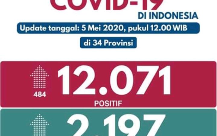 Jumlah Kesembuhan Covid-19 di Indonesia Meningkat per 5 Mei 2020