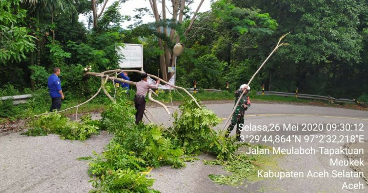 Kerjasama TNI/Polri, Petugas Damkar, Masyarakat dalam Membersihkan Pohon Tumbang di Jalan Lintas Nasional