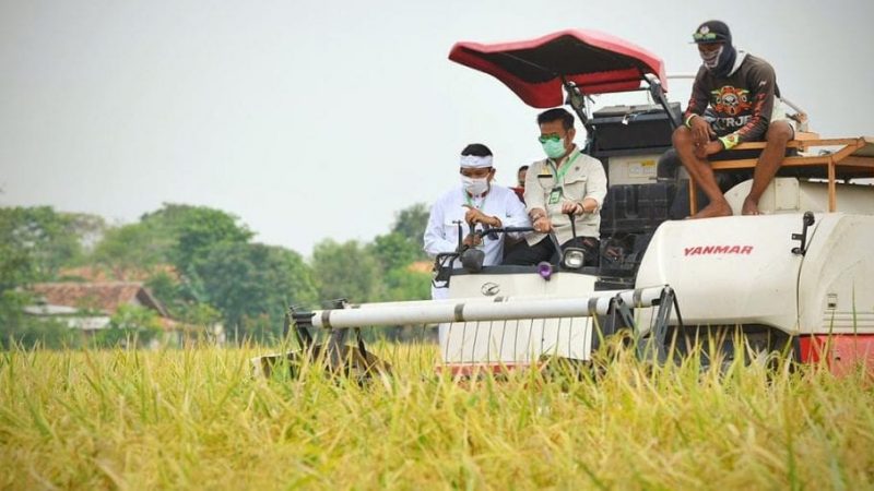 Mentan Syahrul Yasin: Pemerintah Dorong Provinsi Kalteng Kembangkan Lumbung Pangan ‘Food Estate’