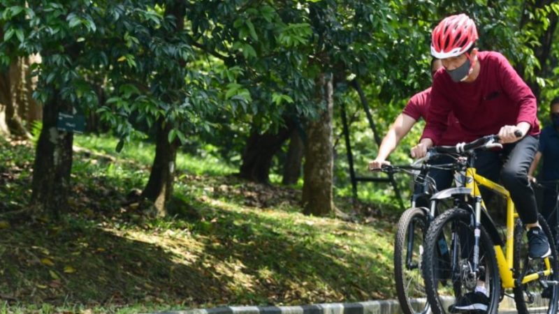 Ber-Gowes, Presiden Jokowi: Tadi Malam Keluar Hasil Tes Swab, Alhamdulillah Negatif. Ibu (Iriana) Juga Negatif