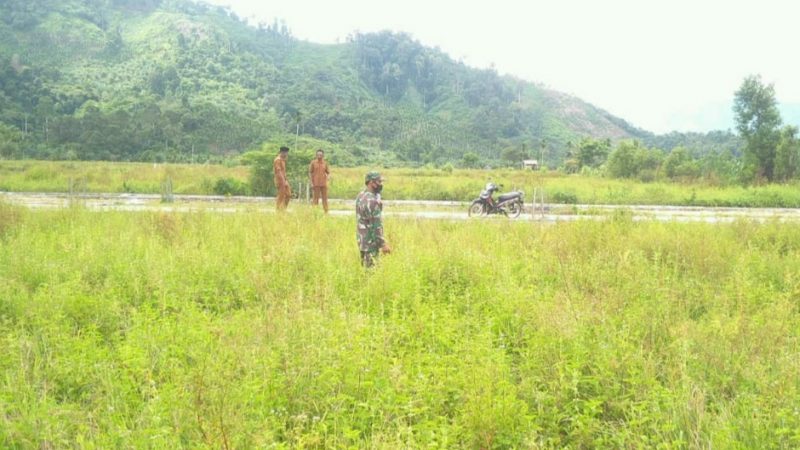 Hadapi Gerakan Tanam Padi Serentak, Babinsa Koramil 08/Bakongan Cek Kesiapan Lahan Sawah
