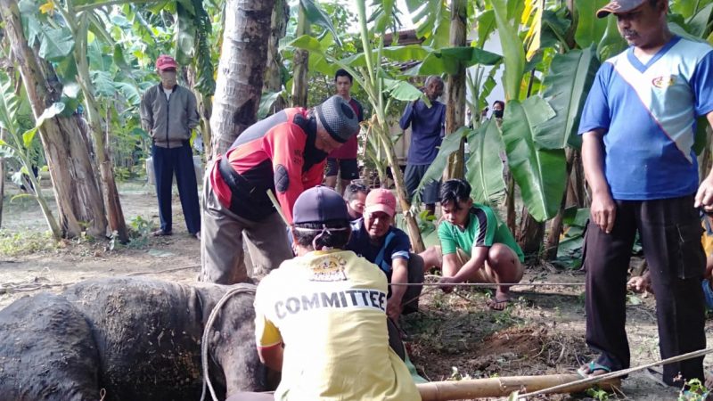 Hari Raya Idul Adha 1441 H di Musholla Al Ikhlas Sirnoboyo, Pacitan