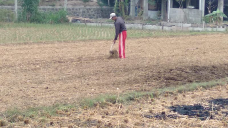 Petani Tetap Produktif Untuk Jaga Ketahanan Pangan