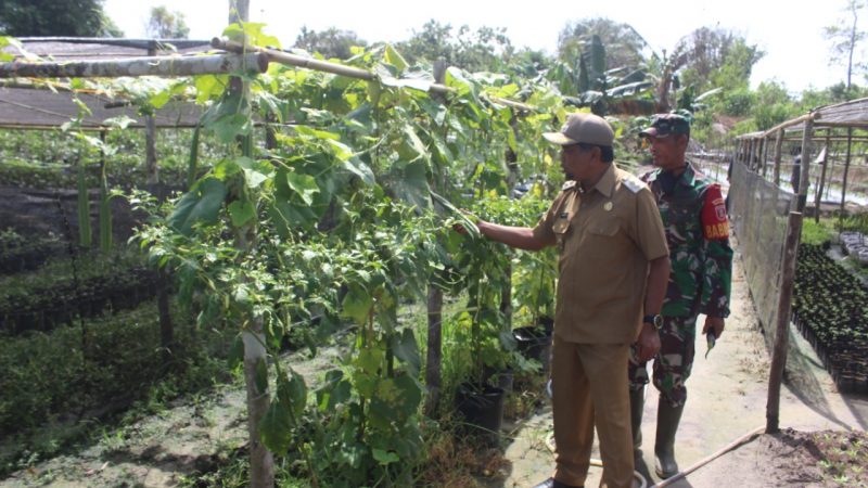 Wakil Bupati PPU Kunjungi Kebun Milik Babinsa Koptu Gampang