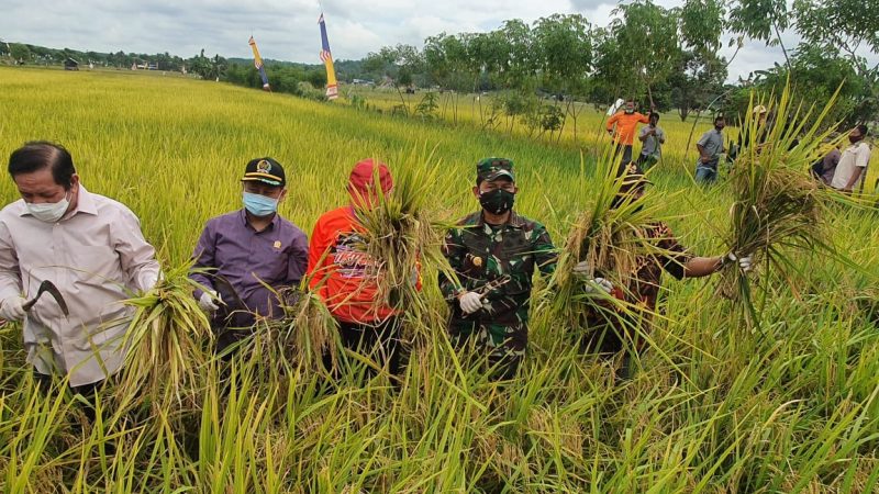 Danrem 091/ASN Apresiasi Petani Jaga Ketahanan Pangan, di Tengah Pandemi Covid-19