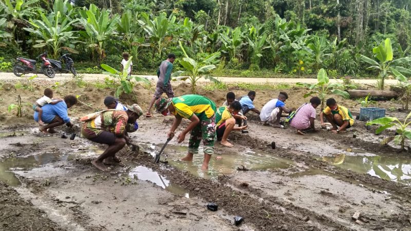 Satgas Yonif MR 413 Kostrad Ajarkan Warga Tanam Semangka Di Kampung Mosso