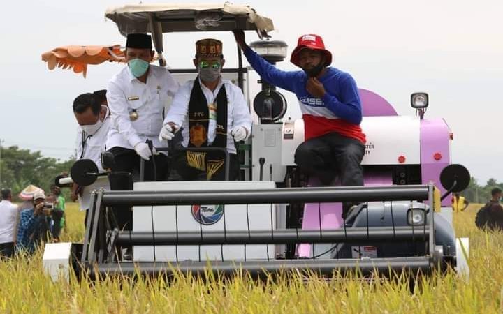 Menteri Pertanian Panen Raya Padi Program Olah Tanah Gratis  8.000 Ha di Aceh Besar