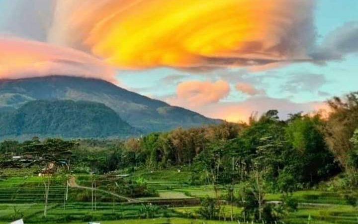 Direktur Indef Ahmad Tauhid; Apresiasi Tumbuhnya Sektor Pertanian Nasional Kuartal III tahun 2020,  Mencapai 2,15 persen.