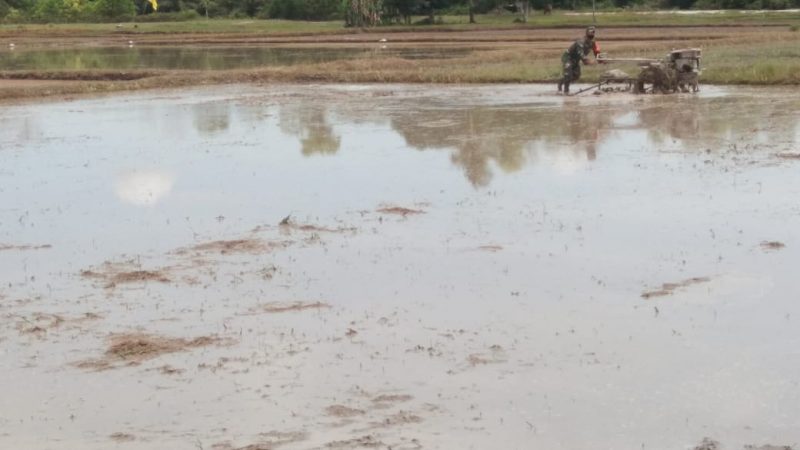 Beri Motivasi Pada Petani, Babinsa Koramil Penajam Turun Langsung Ke Sawah