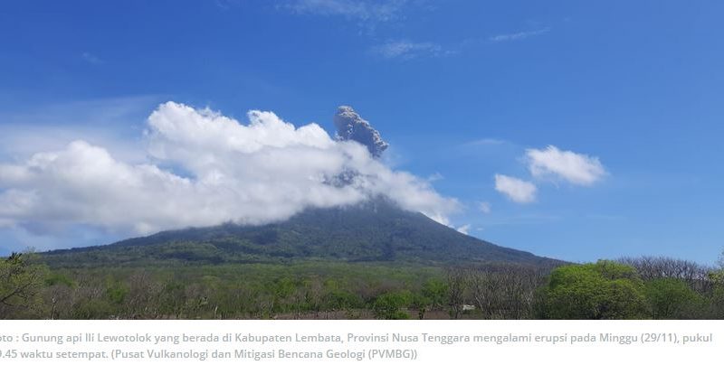 Lebih 4.000 Warga Lakukan Evakuasi Pasca Erupsi Gunung Api Ili Lewotolok