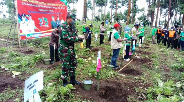 Cegah Longsor, Sejuta Bibit Kopi Arabika Gayo Mulai Ditanam di Lereng Gunung Slamet