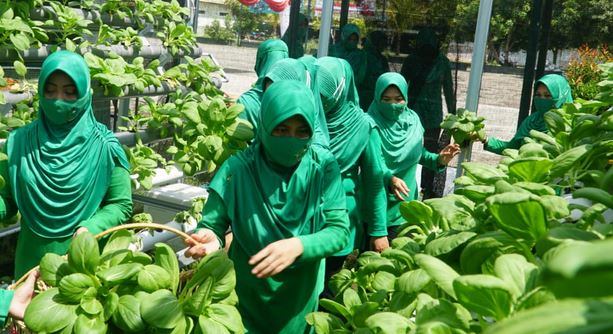 Persit Kartika Chandra Kirana Koorcab XXXVII Dim 1011 Melaksanakan Panen Sayur Hidroponik