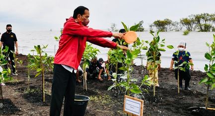Pangdam I/BB Dampingi Presiden RI Tanam Mangrove di Pantai Raja Kecik Bengkalis