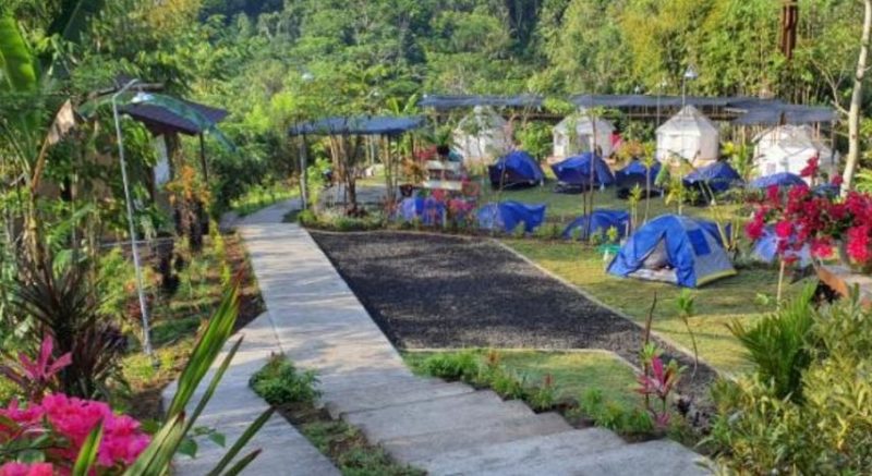 “Happiness Jungle” Destinasi Wisata Alam di Badung Bali, Berikan Pengalaman Tak Terlupakan