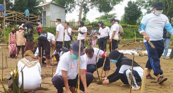 Peringati Hari Menanam Pohon Nasional Sekaligus Launching Watu Mejo Mangrove Park Pacitan