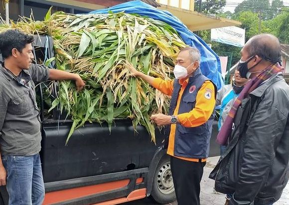 Warga Ngebrong, Malang;  Kirim Rumput Untuk Pakan Ternak Milik Pengungsi Gunung Semeru