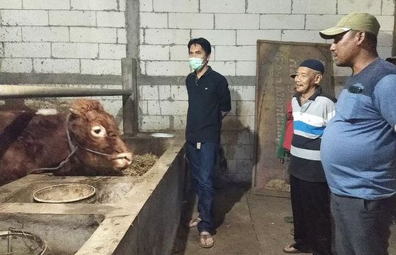 Kaji Bing Melihat Usaha  Kelompok Tani Ternak Plosorejo Makmur, Gemarang, Madiun