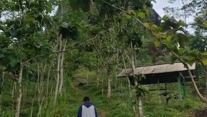 Eksotika  Pacitan  dari Puncak  Gunung Lanang