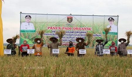 Bupati Ngawi Ony Anwar Harsono, Hadiri Panen Raya Padi Organik