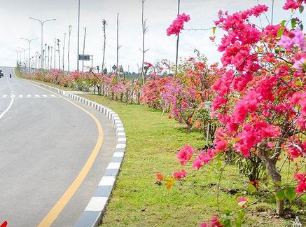 Keindahan  Jalan Bypass Bandara Internasional Lombok  Siap Sukseskan Moto GP Mandalika