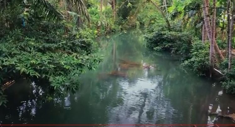 [VIDEO] Kali Barong Candi Pacitan
