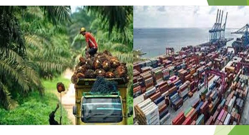 Kinerja Ekspor Meningkat Signifikan, Sebabkan Perdagangan Surplus, Indonesia Aman dari Krisis
