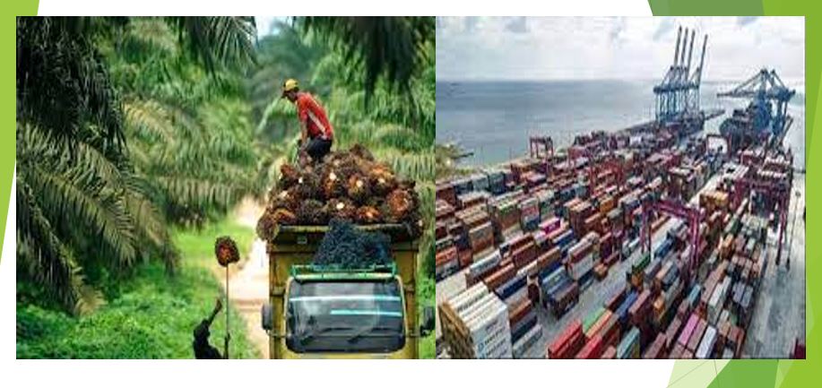 Kinerja Ekspor Meningkat Signifikan, Sebabkan Perdagangan Surplus, Indonesia Aman dari Krisis