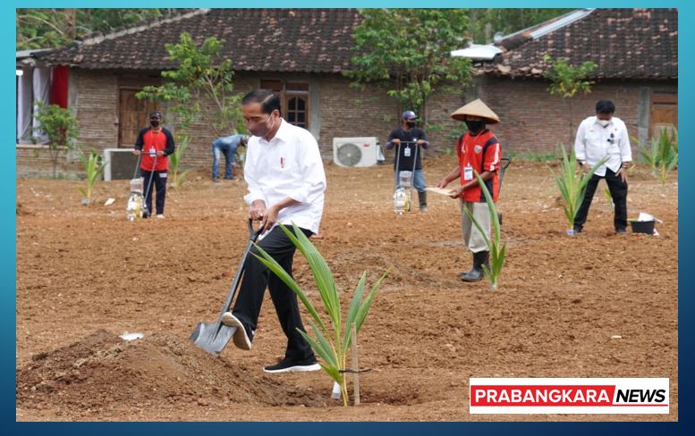Presiden RI Joko Widodo Paninjauan dan Penanaman Kelapa Genjah Bersama Petani di  Kabupaten Sukoharjo