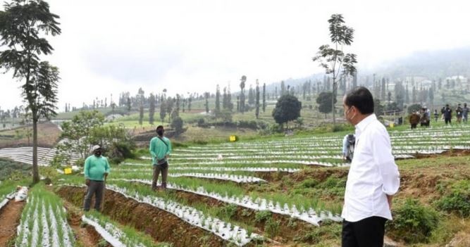 Presiden Jokowi, Terus Jaga Neraca Produktivitas Pangan Agar  Terjaga