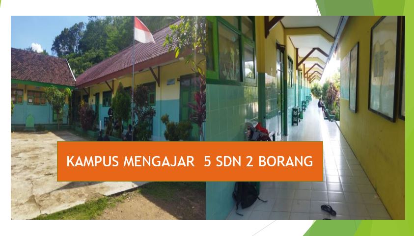 Kampus Mengajar 5,  Mengabdi  di SD Negeri 2 Borang, Arjosari, Pacitan