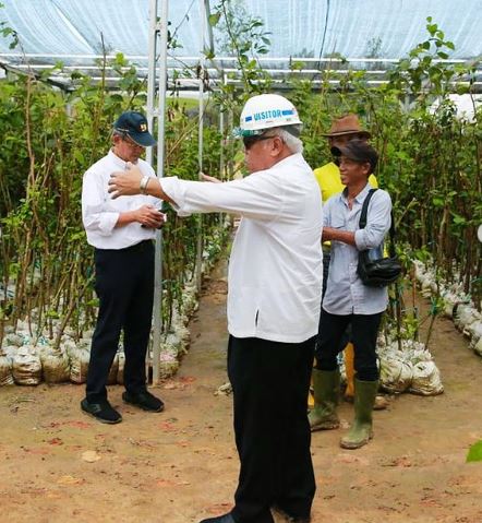 Pembangunan Jalan Tol IKN Nusantara dan Penggunaan Area Nursery untuk Beautifikasi