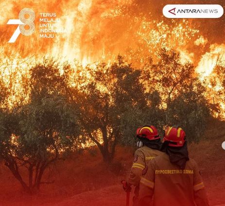 Kebakaran Terus Melanda Yunani, Ancam Wilayah Pinggiran Athena