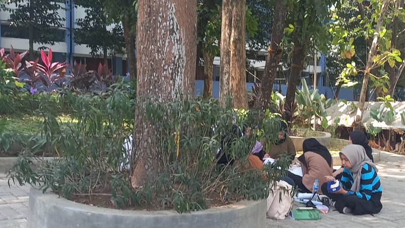 Keindahan Pohon Rindang: Oksigen, Kesejukan, dan Inspirasi di Universitas Sebelas Maret