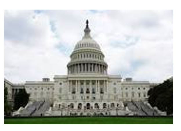 Kongres AS Lakukan Pemungutan Suara   Perbedaan Pendapat  Anggaran Negara