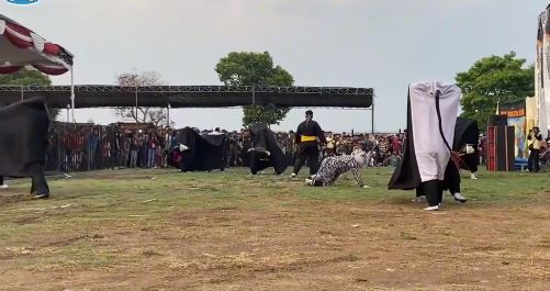Menyelamatkan Warisan Budaya: Bantengan Putro Browijoyo dari Jawa Timur