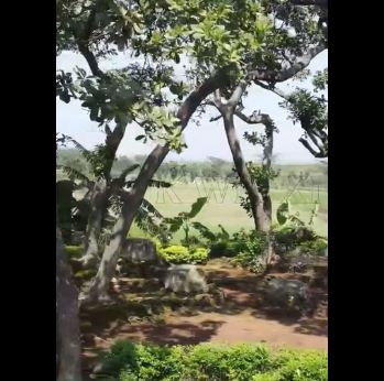 “Situs Umpak Lebakjabung” Desa Lebakjabung, Kecamatan Jatirejo, Kabupaten Mojokerto