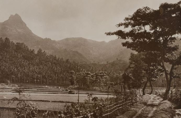 Pedesaaan Pacitan Sekitar abad 19-20