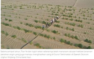 Gurun di China yang Berhasil di Restorasi