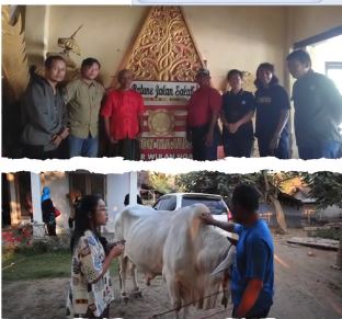 BPK Wilayah XI, Laksanakan Studi Nilai Budaya Arak-Arakan Pegon di Kabupaten Jember