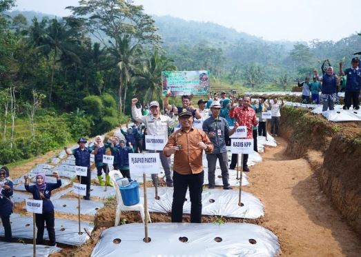 Pemkab Pacitan Tanam Serentak 12 Ribu Bibit Cabai untuk Kendalikan Inflasi