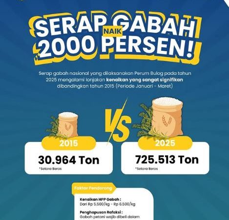 Menuju Kedaulatan Pangan, Pemerintah Tingkatkan Serapan Gabah Secara Drastis