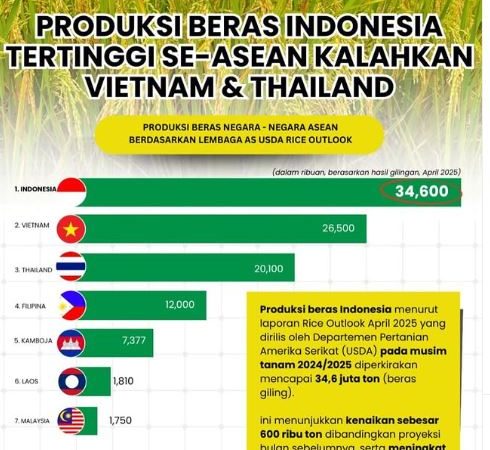 Indonesia Rajai ASEAN dalam Produksi Beras! Tanda Bangkitnya Pertanian Nasional