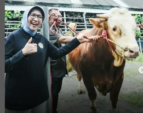 Sapi Lokal Lumajang Jadi Hewan Kurban Presiden Prabowo di Idul Adha 1446 H