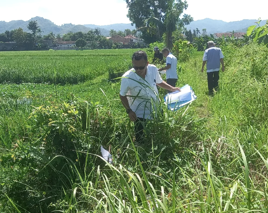 PPLP PT PGRI Pacitan Lakukan Pengukuran Ulang dan Pemasangan Tugu Batas Tanah Kampus