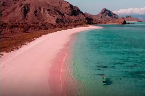 Pantai Merah di Indonesia Dinobatkan Sebagai Pantai Terindah Dunia Versi Forbes