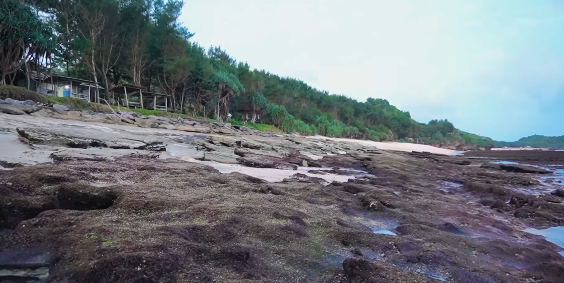 Pantai Blosok Pringkuku Pacitan: Legenda Cinta dan Keheningan yang Menyapa