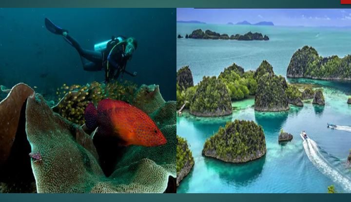 UNESCO Tetapkan Raja Ampat sebagai Cagar Biosfer Dunia ke-21 Indonesia