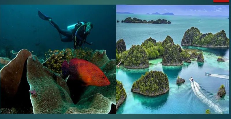 UNESCO Tetapkan Raja Ampat sebagai Cagar Biosfer Dunia ke-21 Indonesia