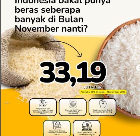 Produksi Beras Nasional Naik Tajam, Indonesia Kian Dekat dengan Swasembada!