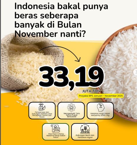 Produksi Beras Nasional Naik Tajam, Indonesia Kian Dekat dengan Swasembada!